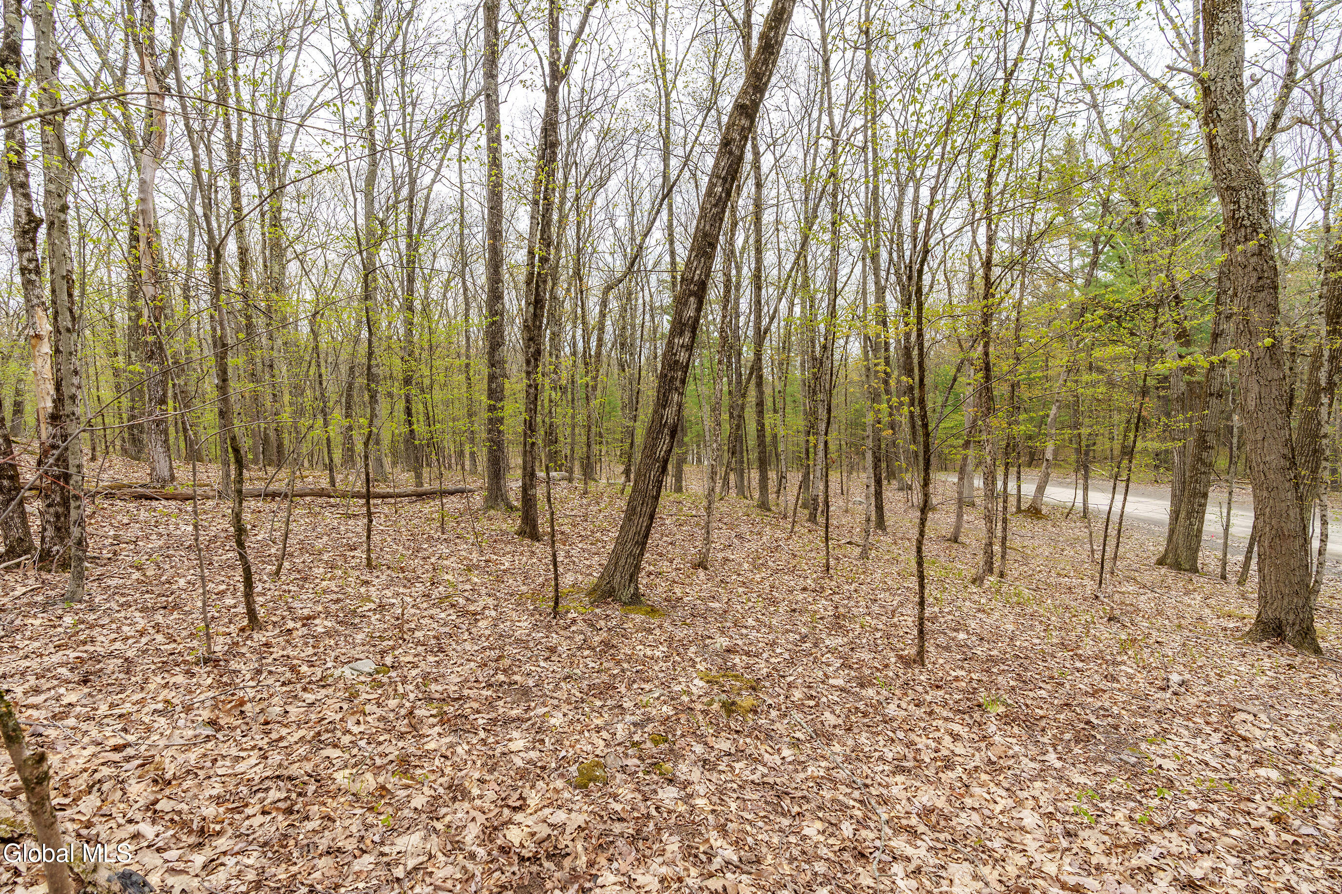 83 Maschodack Road Nassau, NY 12123 - Photo 15 of 26 027-Mashodack-Rd-Nassau-NY-12123