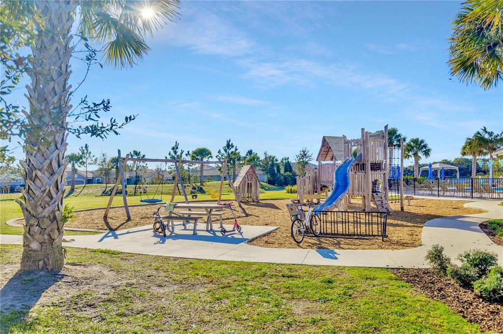 11716 Wrought Pine Loop Riverview, FL 33569 - Photo 47 of 53