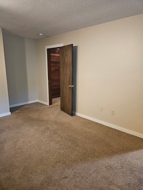 114 Houston Street Clemson, SC 29631 - Photo 15 of 19 Plush wall-to-wall carpeting and clean baseboards define this versatile room with cedar-lined closet access.