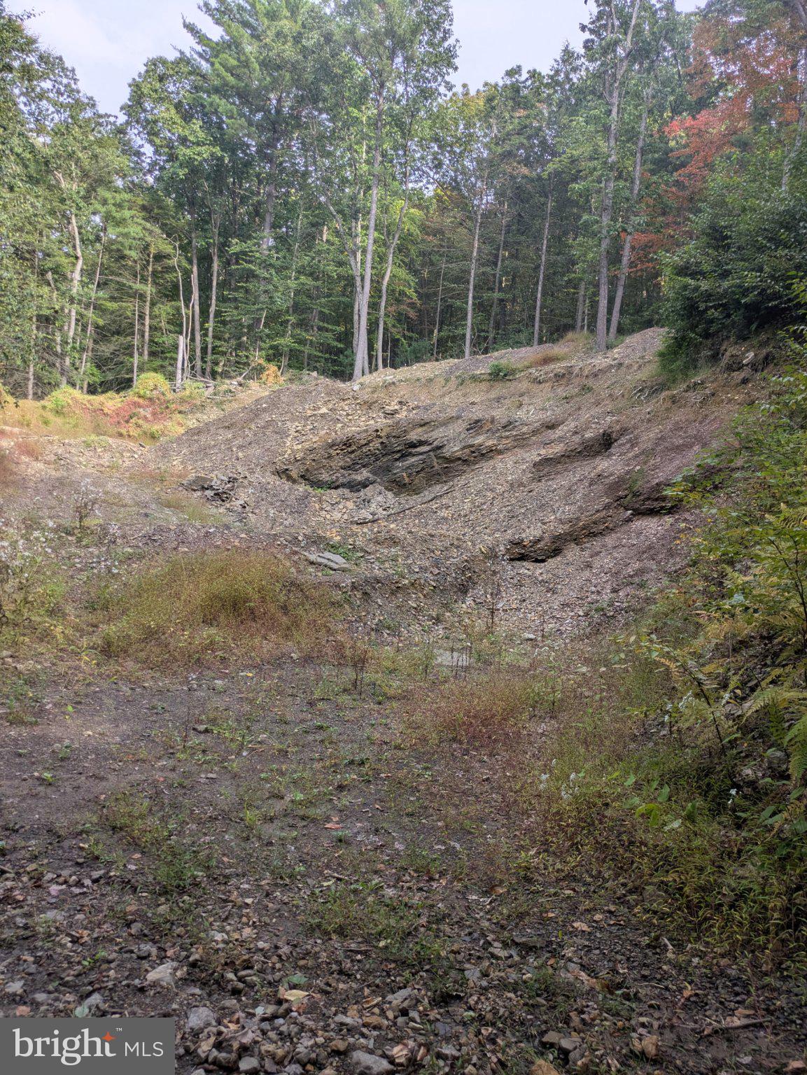 121 Ravine Lane Newport, PA 17074 - Photo 75 of 77 Shale Pit included with property
