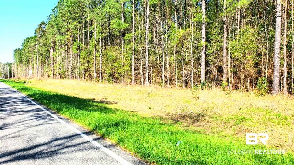 2 Bryant's Lndg Road Stockton, AL 36579 - Photo 2 of 2