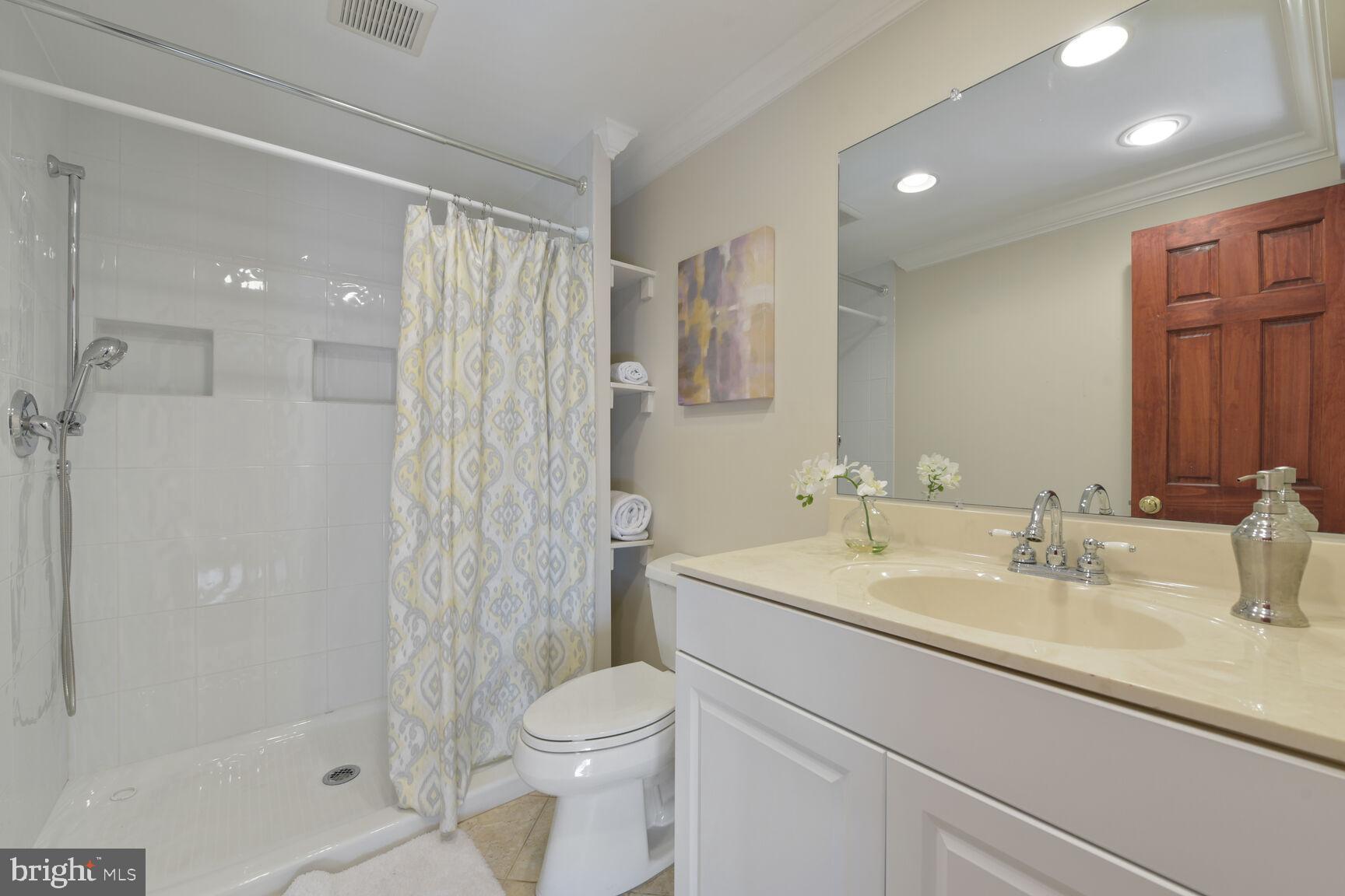 9111 Hamilton Drive Fairfax, VA 22031 - Photo 42 of 63 a bathroom with a sink a toilet and shower