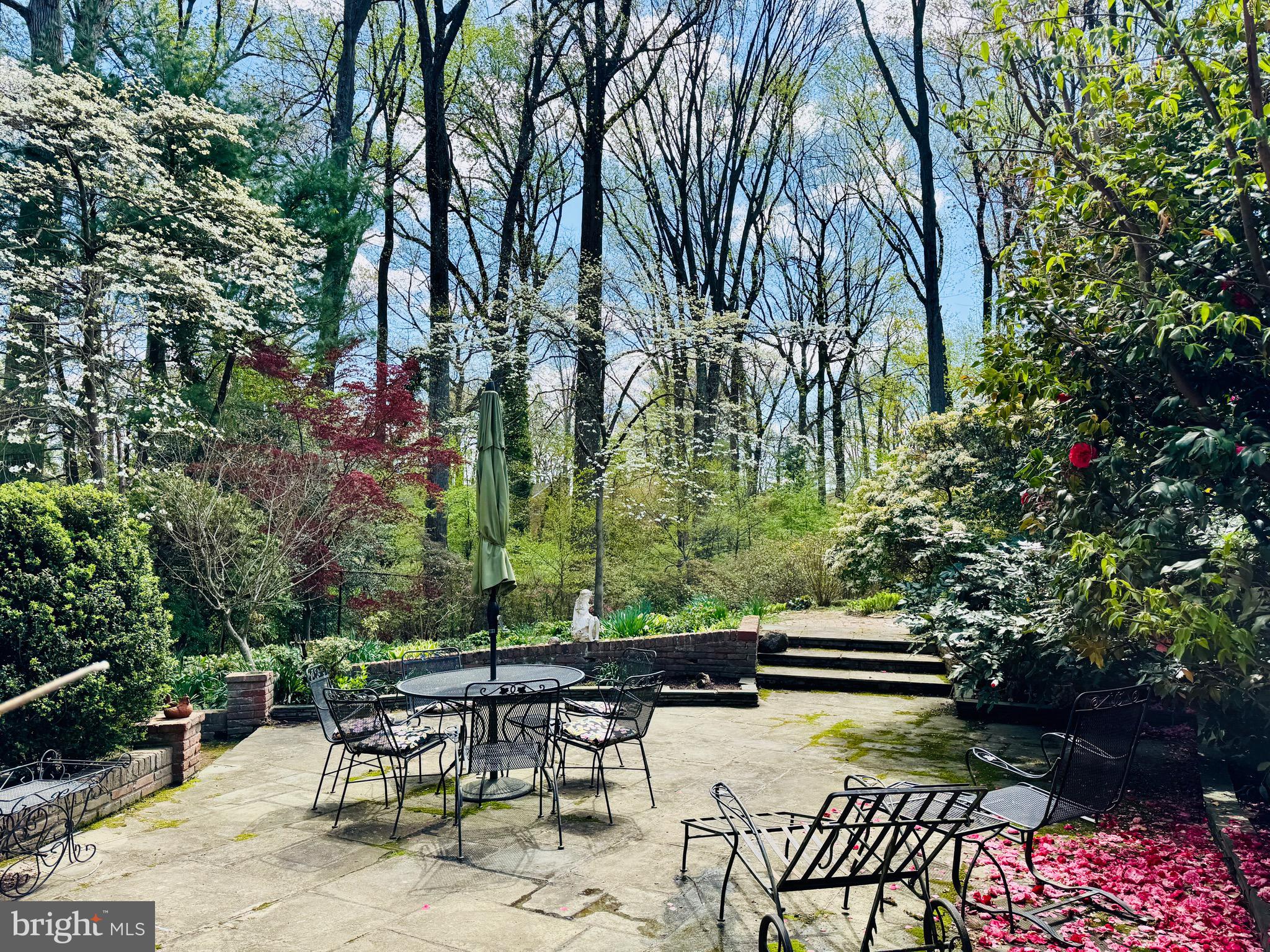 9111 Hamilton Drive Fairfax, VA 22031 - Photo 50 of 63 Enjoy the patio for entertaining or personal use