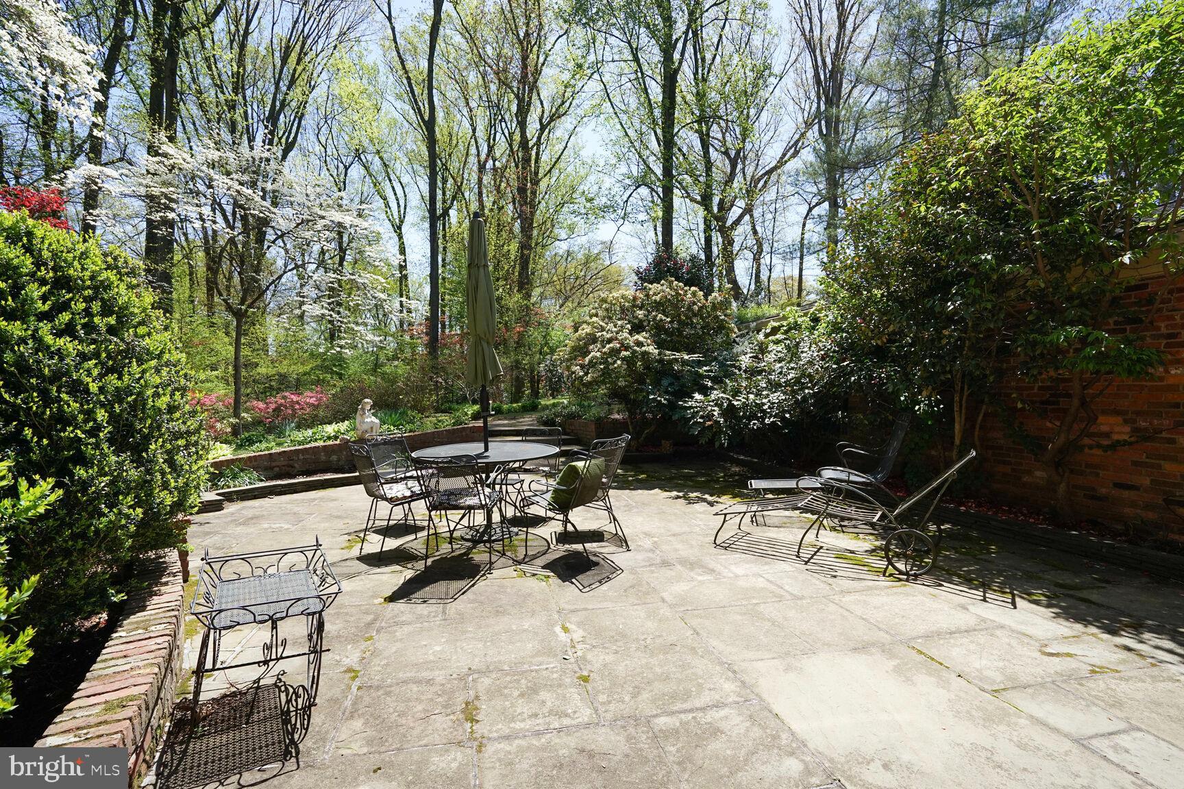 9111 Hamilton Drive Fairfax, VA 22031 - Photo 51 of 63 a view of backyard with a table and chairs and a large tree