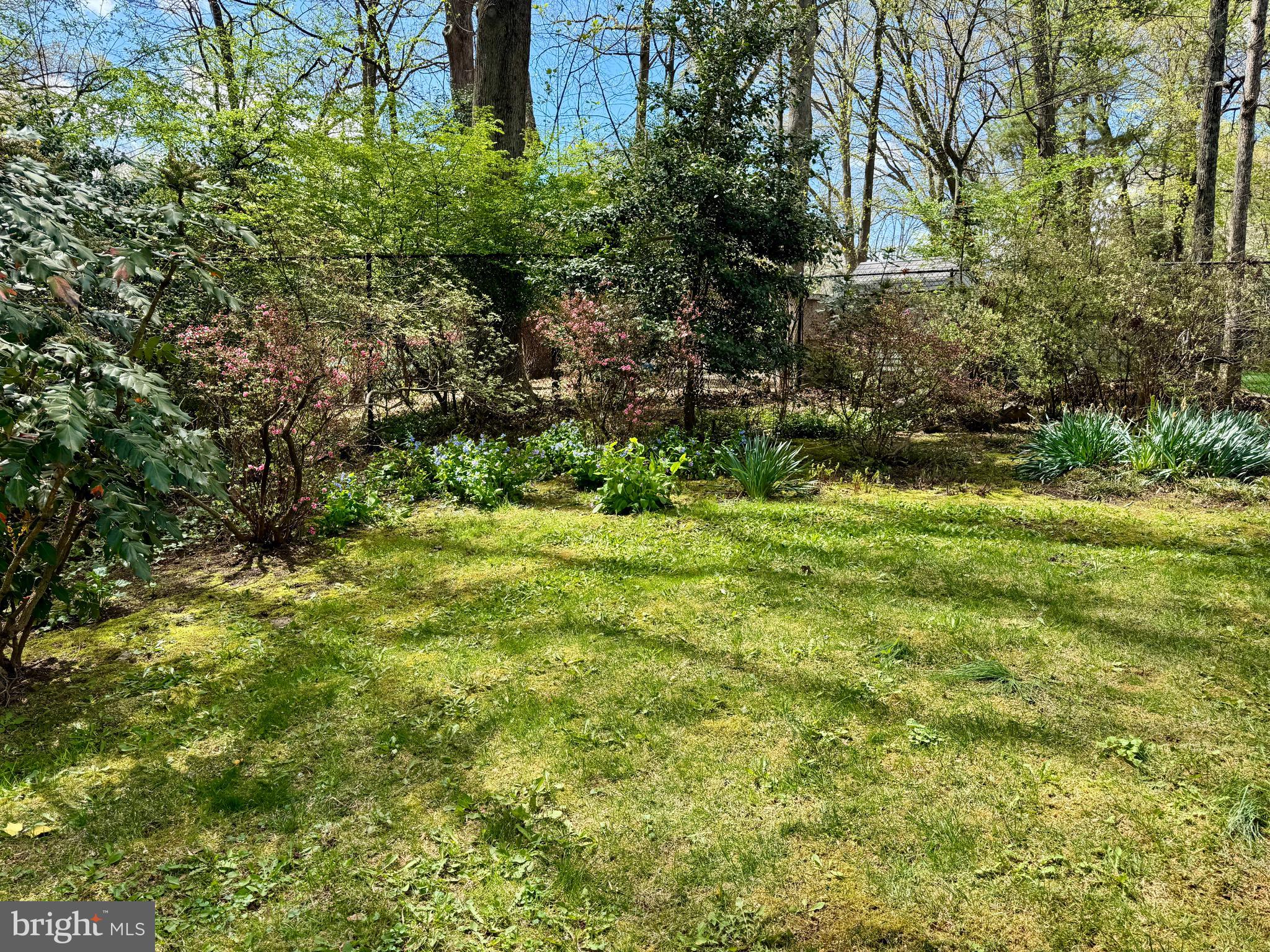 9111 Hamilton Drive Fairfax, VA 22031 - Photo 52 of 63 a view of yard with green space