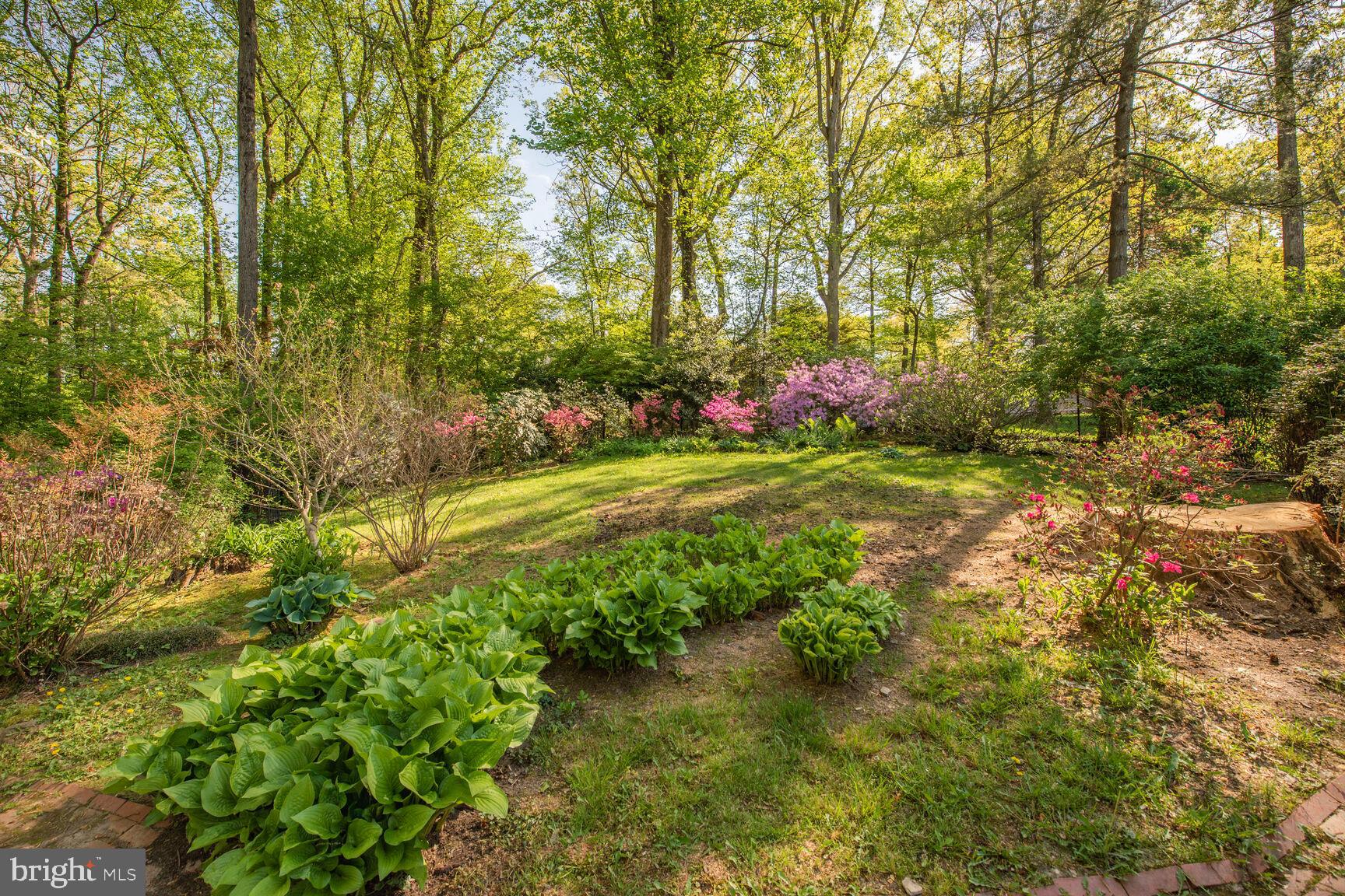 9111 Hamilton Drive Fairfax, VA 22031 - Photo 57 of 63 A lovely garden with many plantings