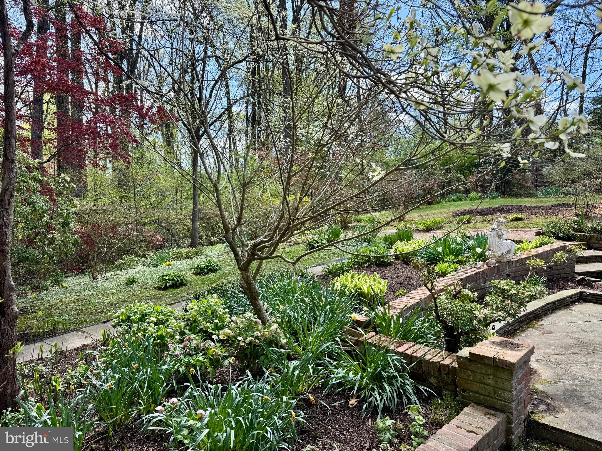 9111 Hamilton Drive Fairfax, VA 22031 - Photo 58 of 63 a backyard of a house with lots of green space