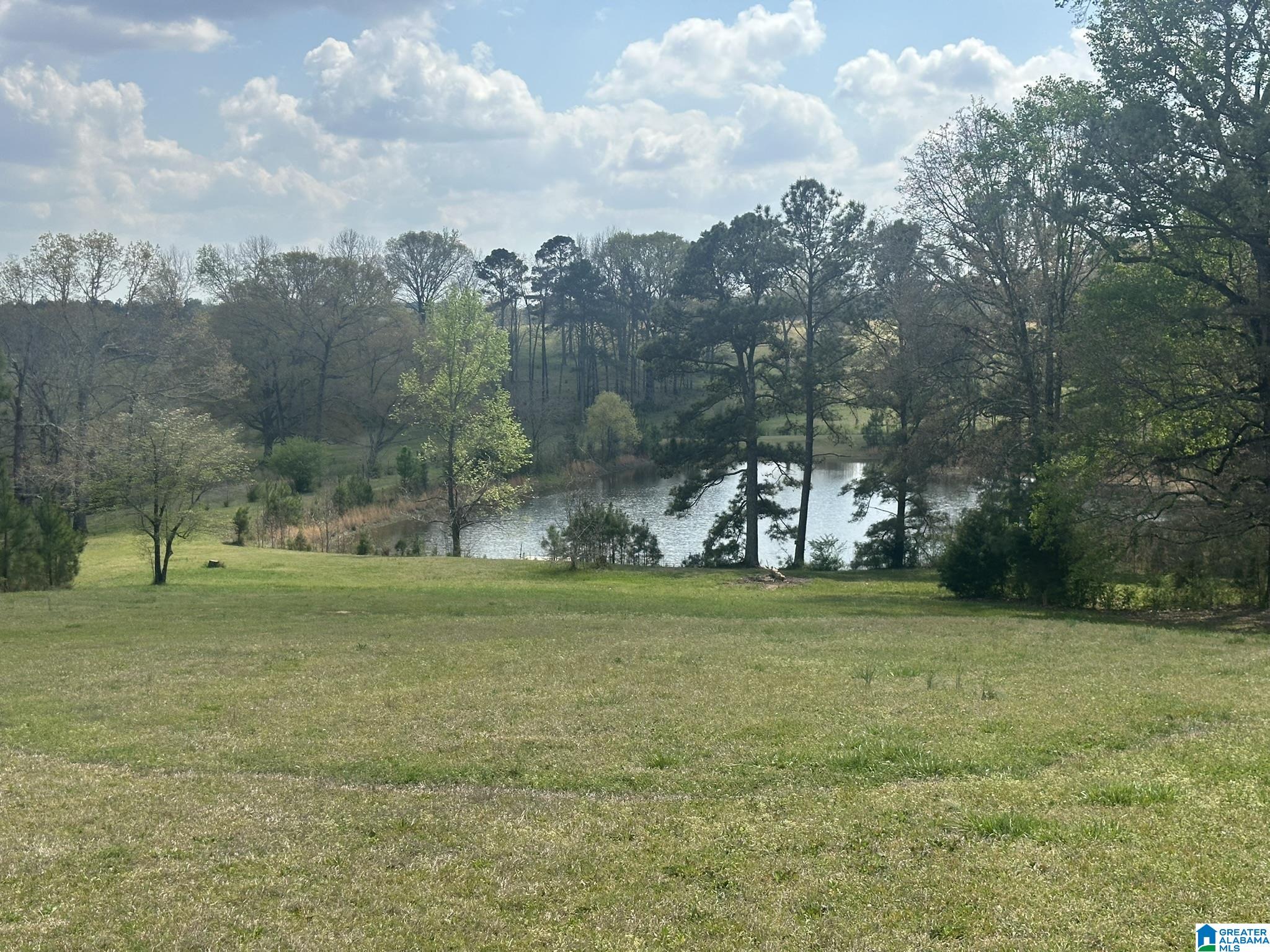75 Mary Lee Lane Alpine, AL 35014 - Photo 19 of 77