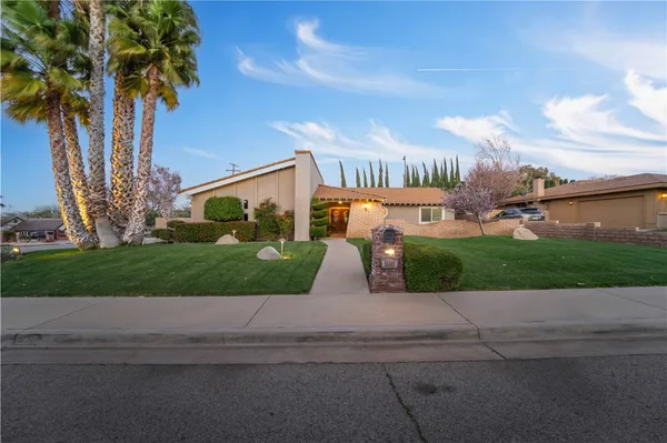 a view of a garden with a plants and palm trees