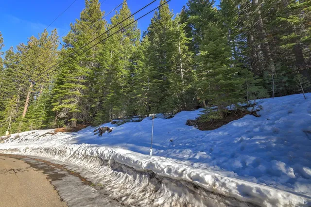 a view of a backyard with large trees