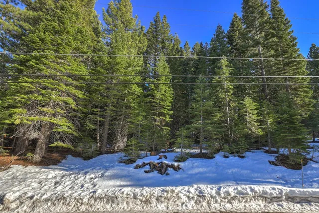 a view of a bench in a backyard