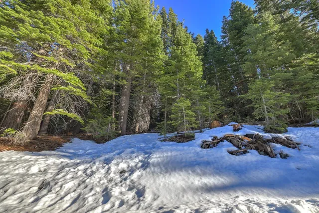 a view of a backyard with table and chairs