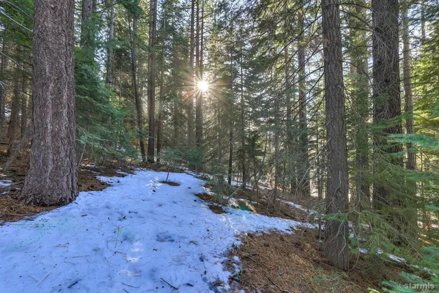 a view of a road with trees in the background