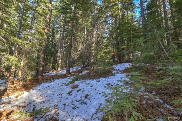 a backyard of a house with large trees