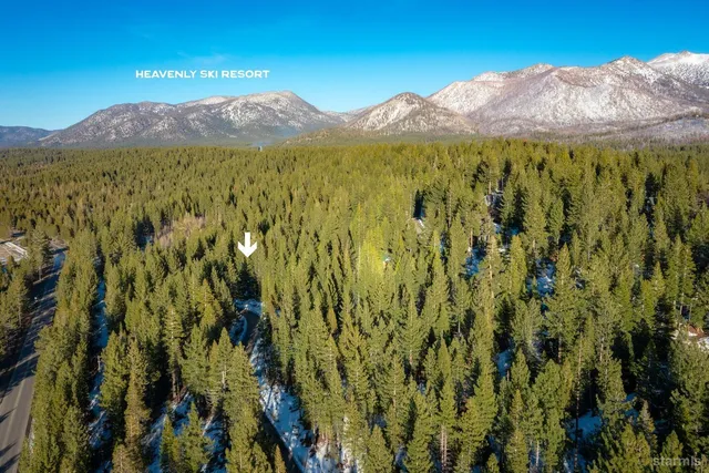 a view of a forest with mountains in the background