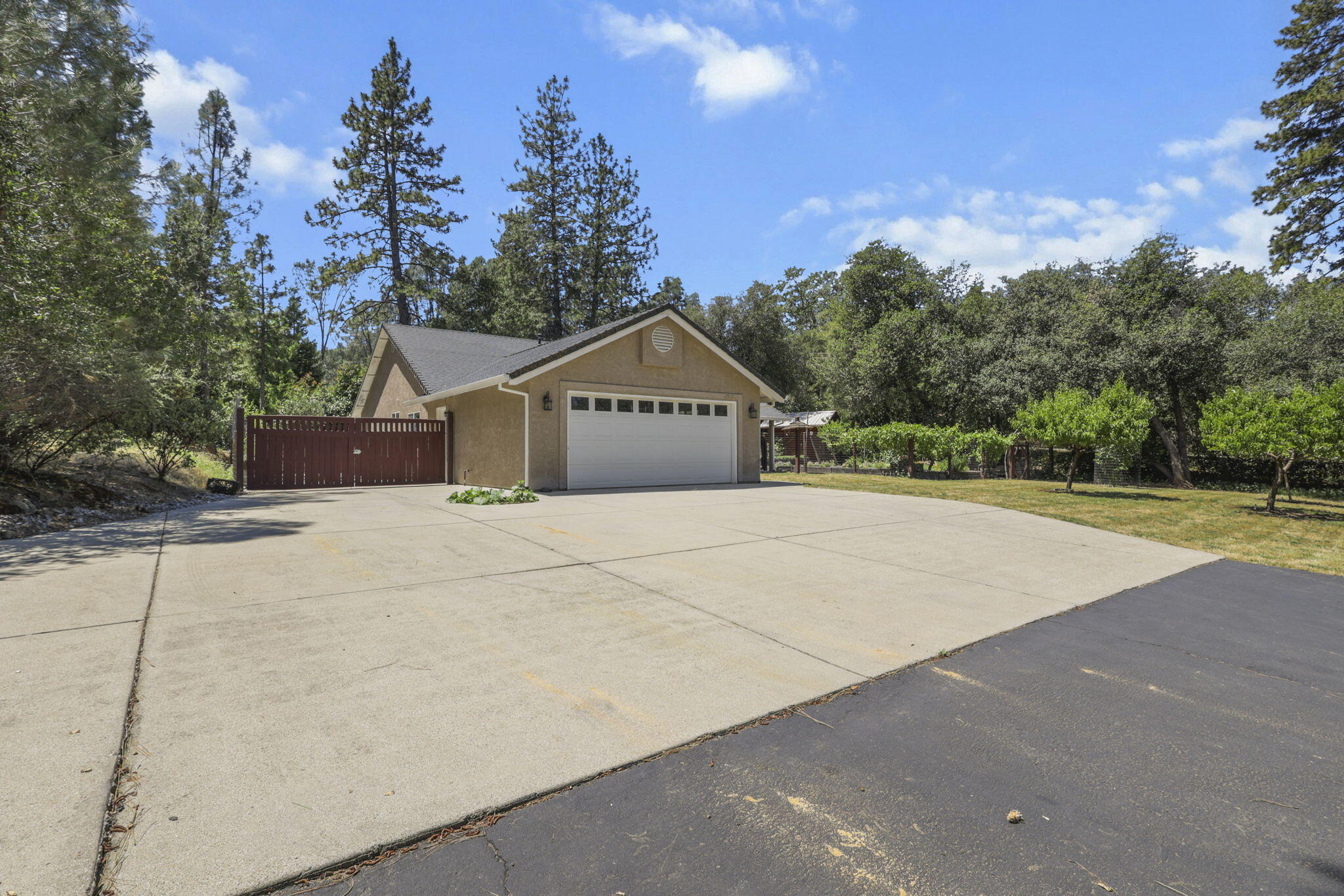 17717 Walker Mine Road Redding, CA 96003 - Photo 48 of 50 59-web-or-mls-LZ0A1170