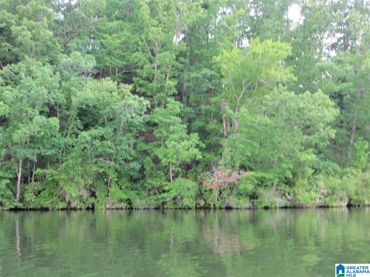 Lot 5 Eagle Mountain Road, Unit 5 Alexander City, AL 35010 - Photo 2 of 7
