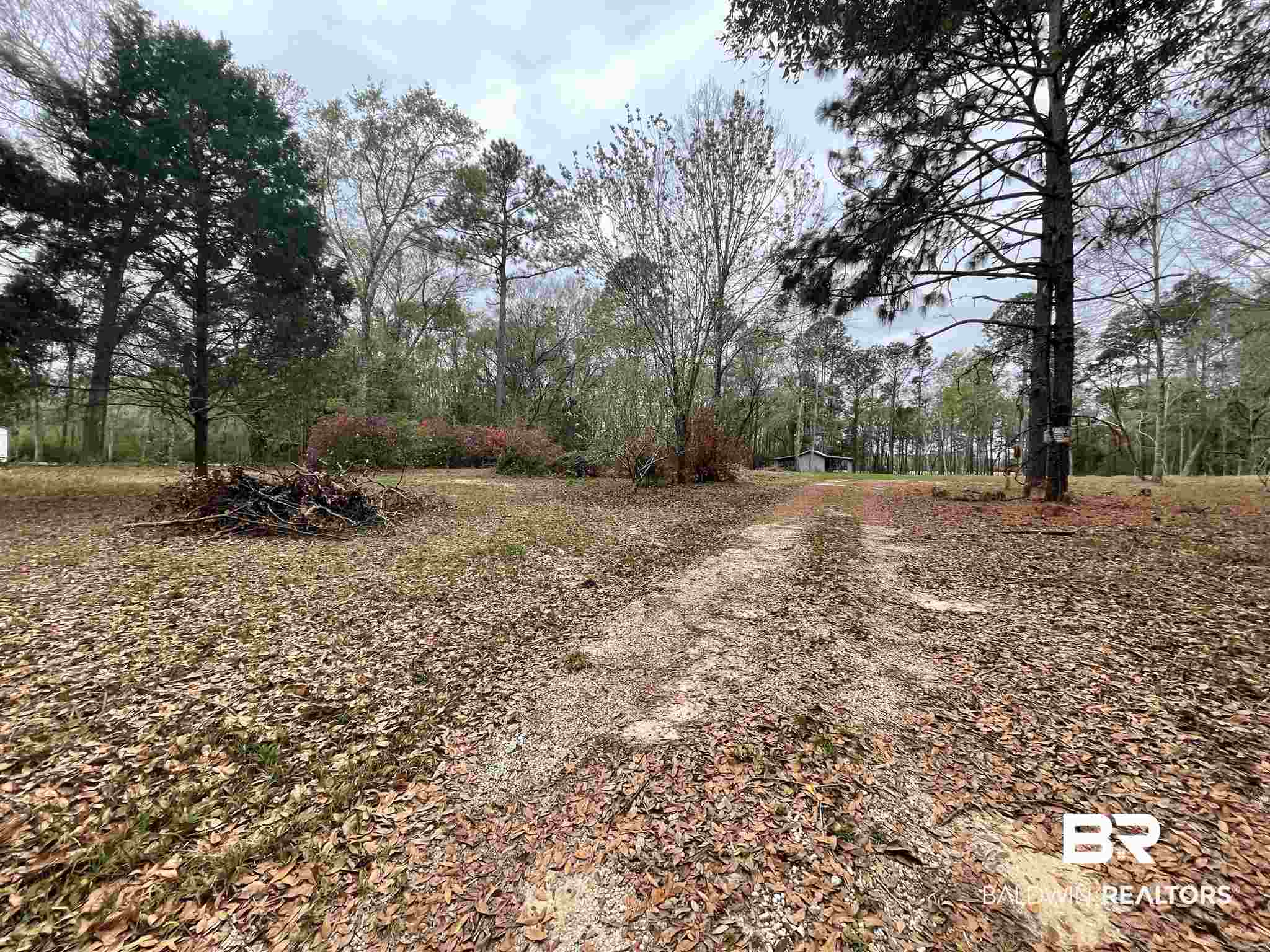 11180 Henderson Camp Road Grand Bay, AL 36541 - Photo 2 of 9