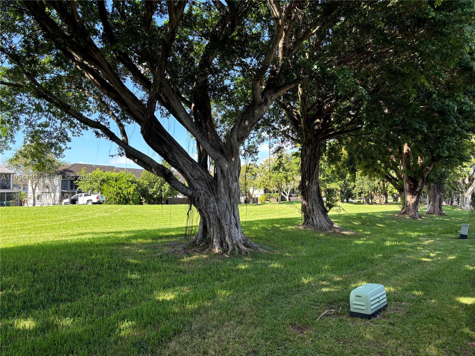 11132 Southwest 153rd Court Miami, FL 33196 - Photo 21 of 33 a view of a trees in a yard