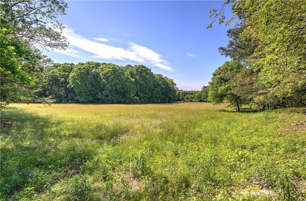 260 Road 2 S Southwest Cartersville, GA 30120 - Photo 66 of 69 a view of an ocean and a yard