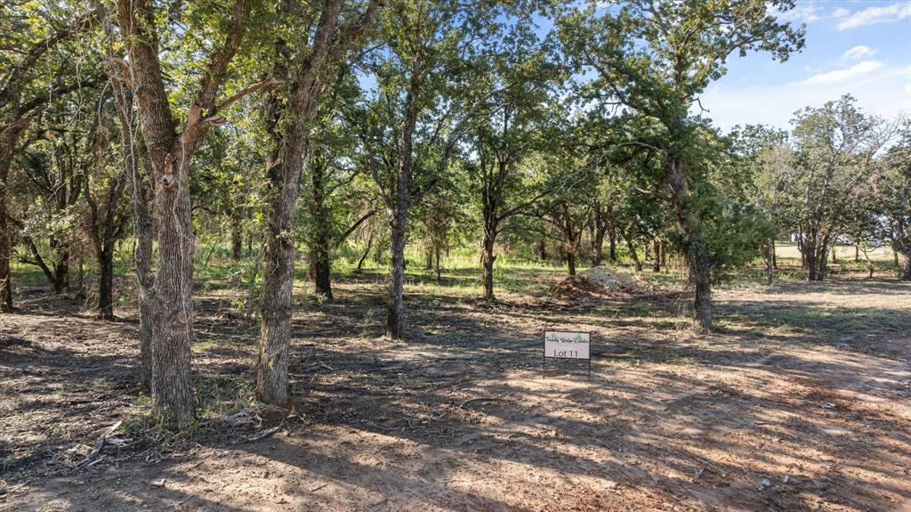 Lot #11 Trinity Ridge Drive Stephenville, TX 76401 - Photo 2 of 6 a view of a forest with trees