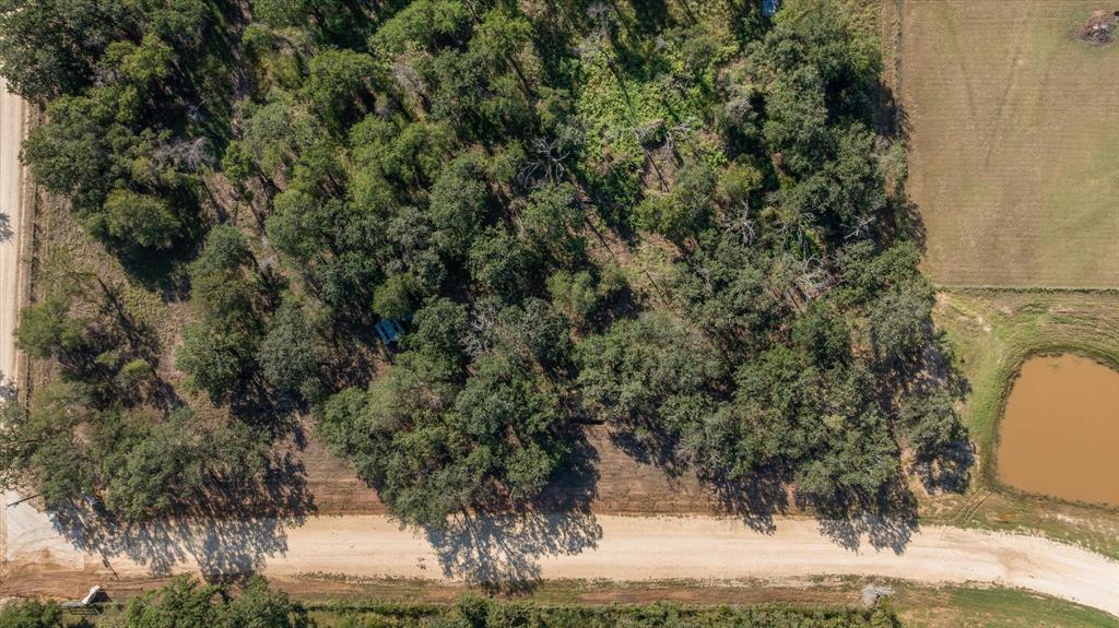 Lot #11 Trinity Ridge Drive Stephenville, TX 76401 - Photo 4 of 6 a view of a yard with a tree
