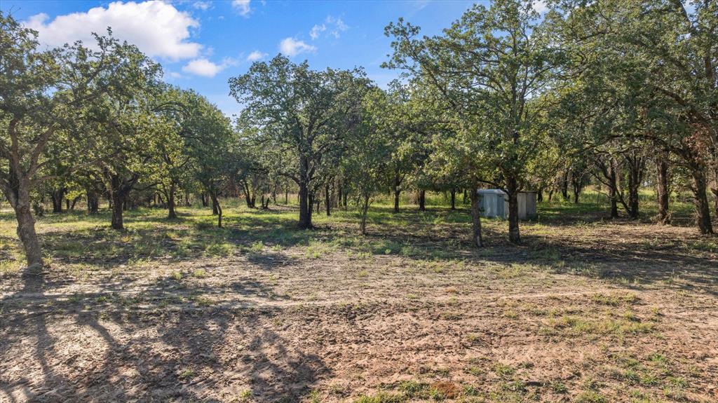 Lot #11 Trinity Ridge Drive Stephenville, TX 76401 - Photo 5 of 6 a view of a tree in a yard