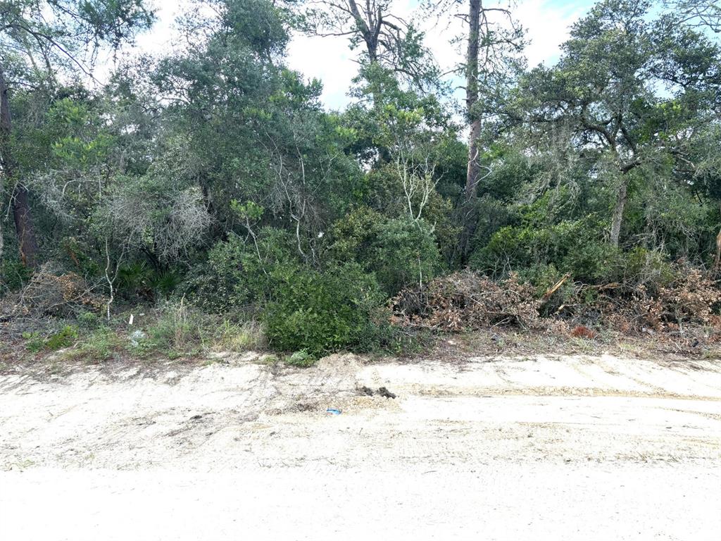 0 Southwest 167th Loop, Unit 3 Ocala, FL 34473 - Photo 1 of 1 Gallery Image 1