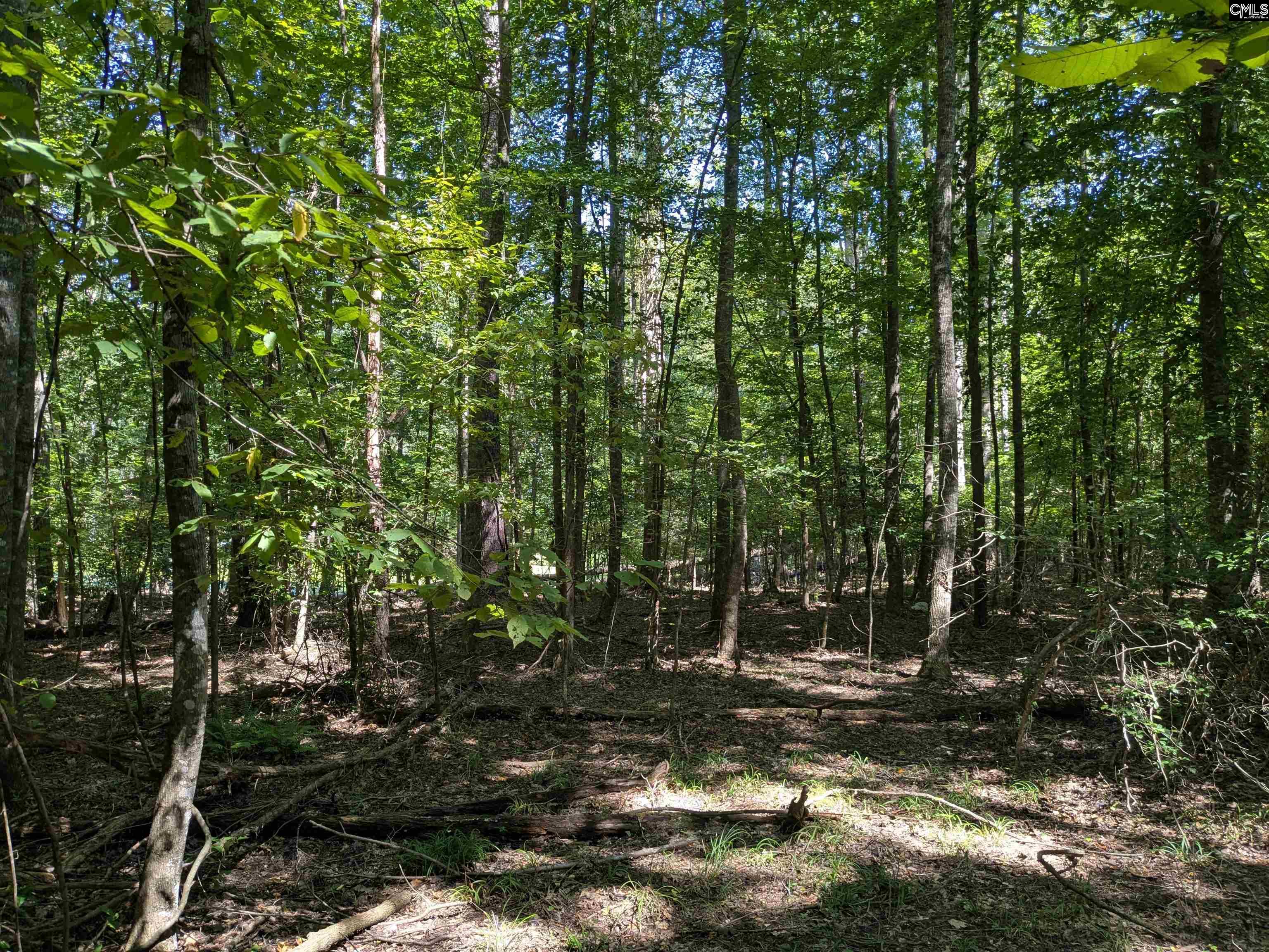 0 Taylor Road Batesburg, SC 29006 - Photo 4 of 20