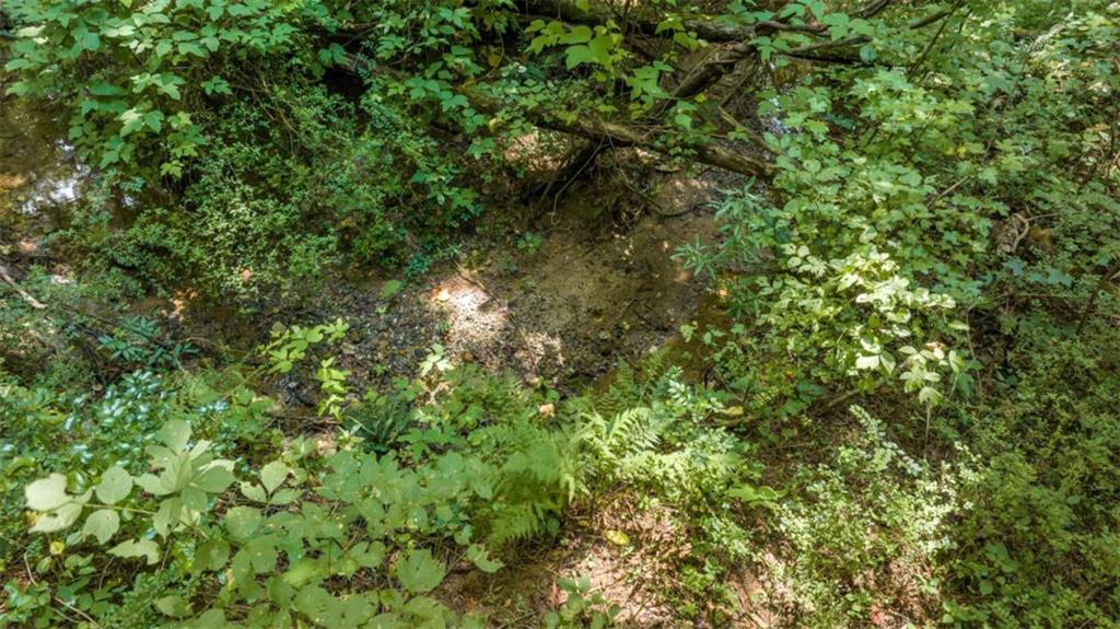 126 Loggins Trail Commerce, GA 30529 - Photo 36 of 50 a view of a lush green forest