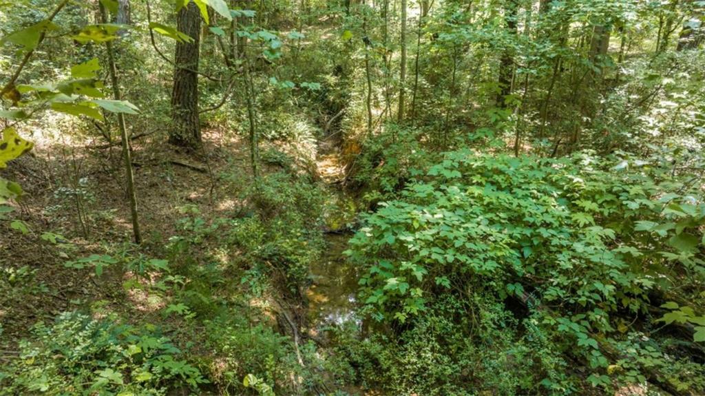 126 Loggins Trail Commerce, GA 30529 - Photo 37 of 50 a view of a yard