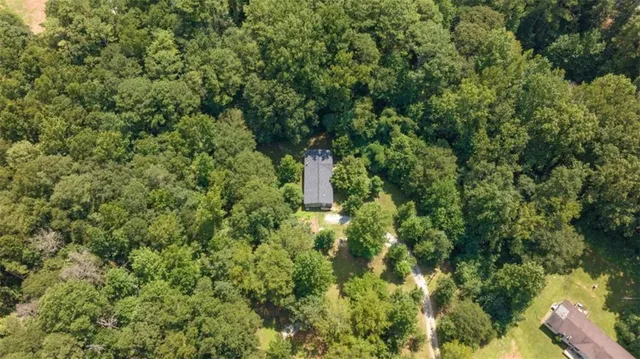 a map view of a forest