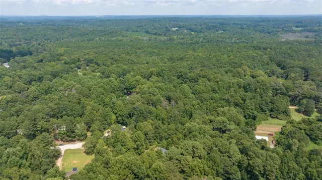 a view of a lush green forest with trees and some houses