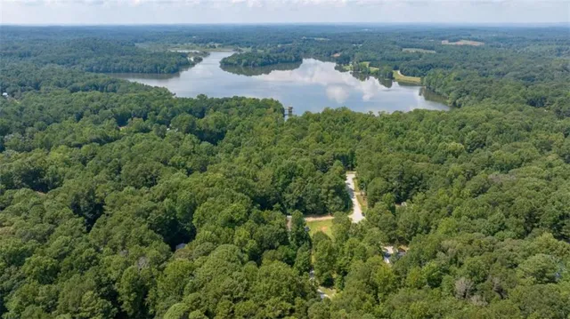an aerial view of mountain with trees all around