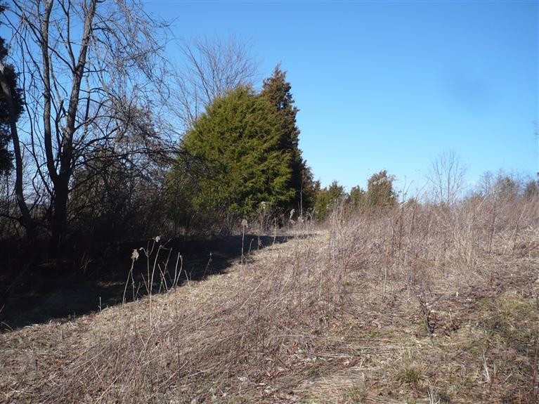 14722 Dixon Road Morning View, KY 41063 - Photo 4 of 6
