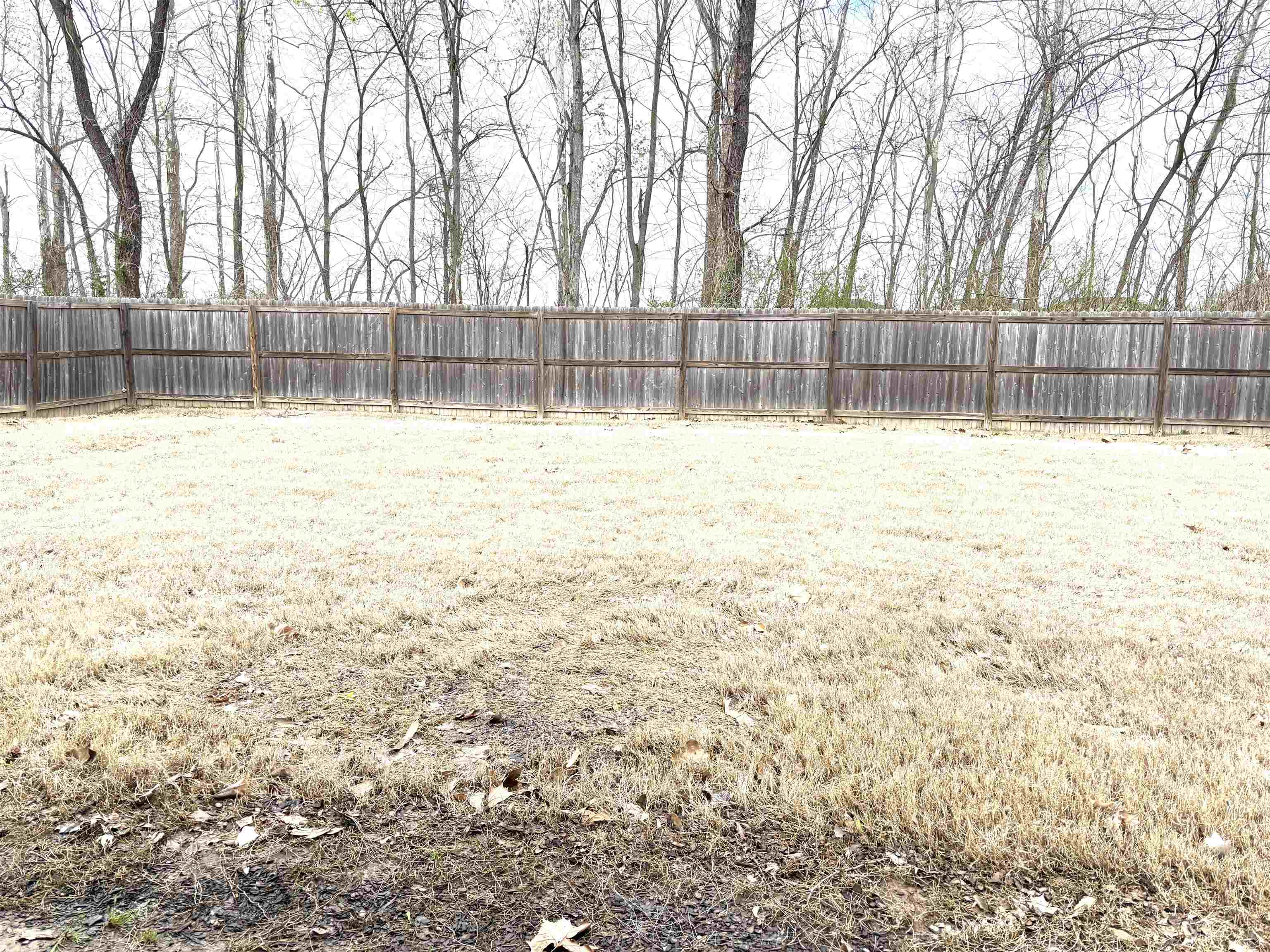 5150 Shellback Drive Millington, TN 38053 - Photo 24 of 24