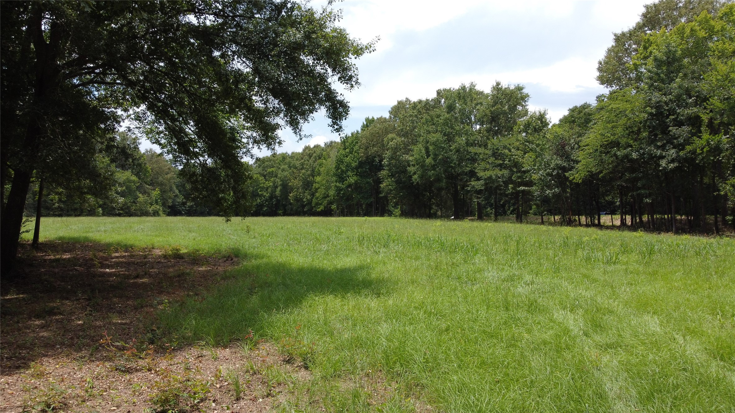 59 Highway 59 Garrison, TX 75946 - Photo 3 of 11