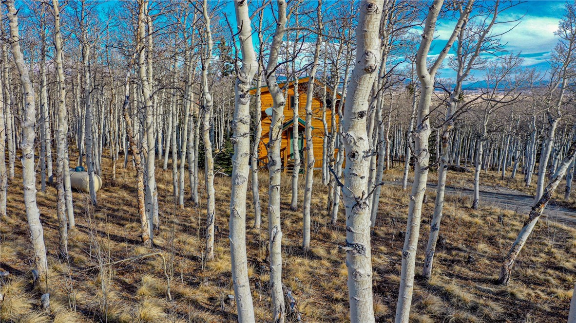 165 Sheep Ridge Road Fairplay, CO 80440 - Photo 27 of 33 Gallery Image 27
