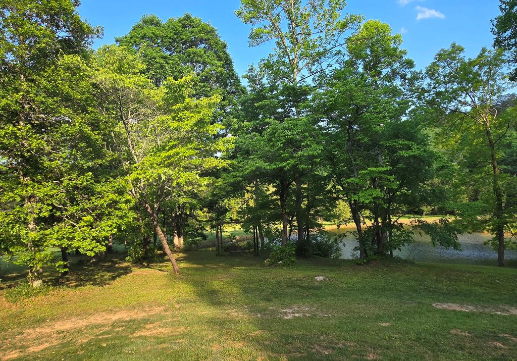 3800 Cutcane Road Mineral Bluff, GA 30559 - Photo 65 of 68