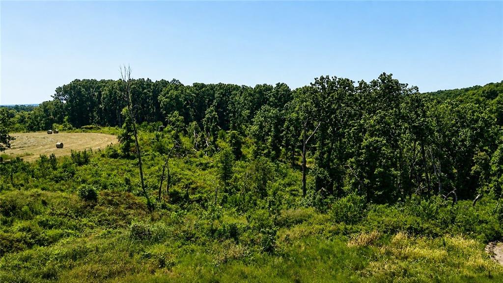 1210 Waters Road Stella, MO 64867 - Photo 25 of 36 Gallery Image 25