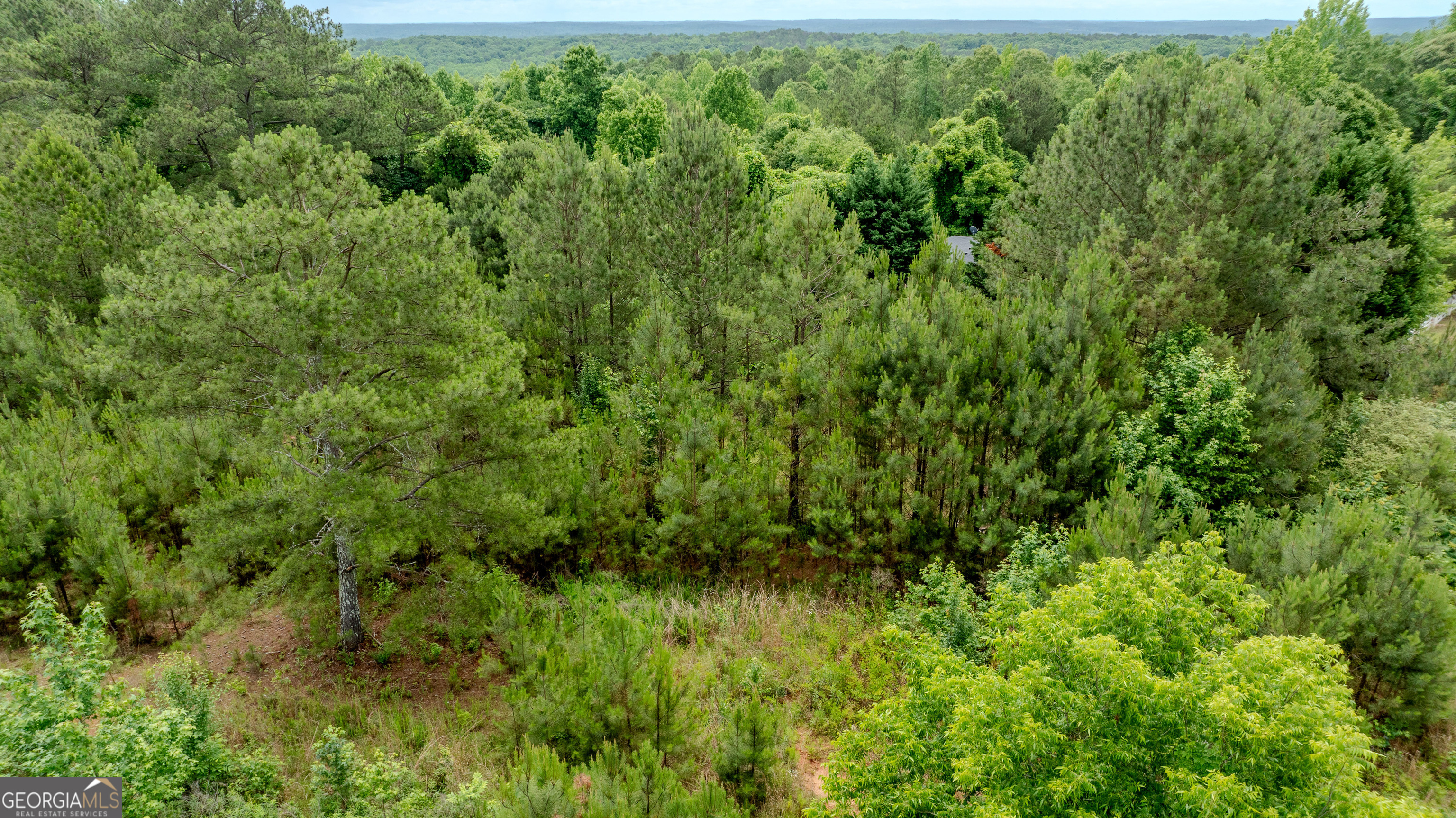 0 Almond Road Franklin, GA 30217 - Photo 14 of 18