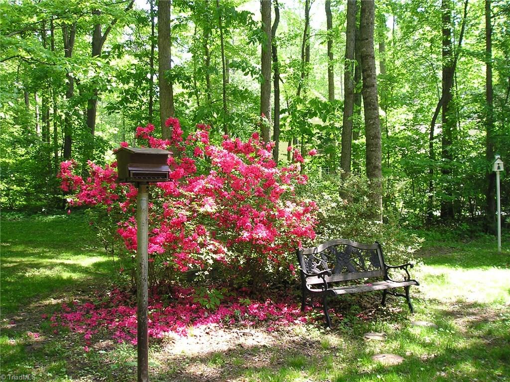 7807 Gold Ridge Road Oak Ridge, NC 27310 - Photo 3 of 30