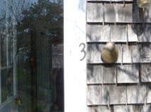 420 Chequessett Neck Road, Unit 3 Wellfleet, MA 02667 - Photo 7 of 17 Additional Photo