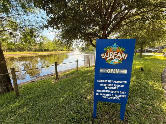 a view of a couches in a backyard