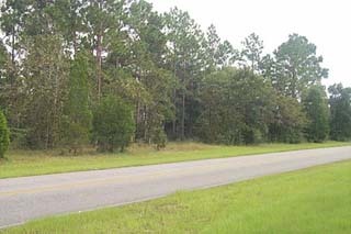 6253 Possum Ridge Road Crestview, FL 32539 - Photo 1 of 1 Primary Photo