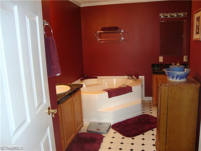 441 Brann Road Browns Summit, NC 27214 - Photo 8 of 15 Master Bath/Spa.