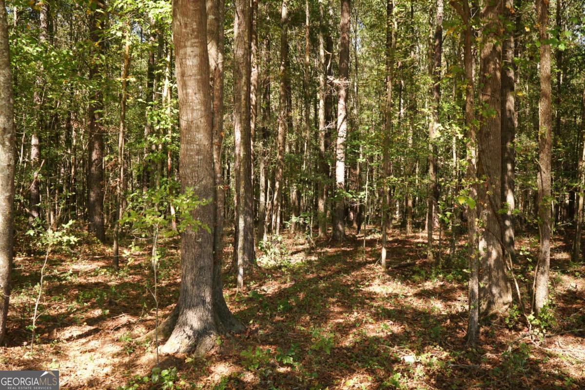 1092 Cooper Gin Road Statham, GA 30666 - Photo 11 of 12