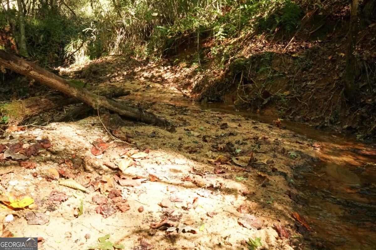 1092 Cooper Gin Road Statham, GA 30666 - Photo 12 of 12