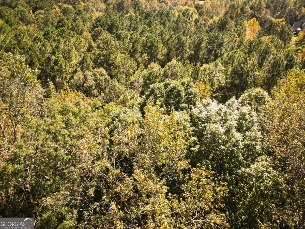 1092 Cooper Gin Road Statham, GA 30666 - Photo 2 of 12