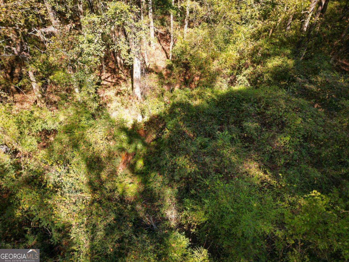 1092 Cooper Gin Road Statham, GA 30666 - Photo 3 of 12